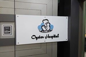 Oyster Hospital - Goregaon West, Mumbai