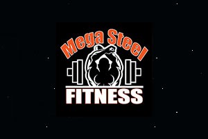 Mega Steel Fitness - Bidhannagar, Kolkata