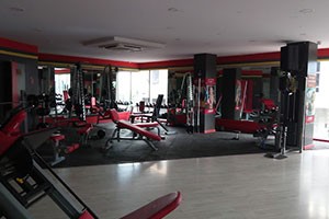 Snap Fitness - Basavanagudi, Bangalore