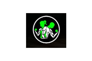 ABSolute Fitness Gym - Kasba, Kolkata