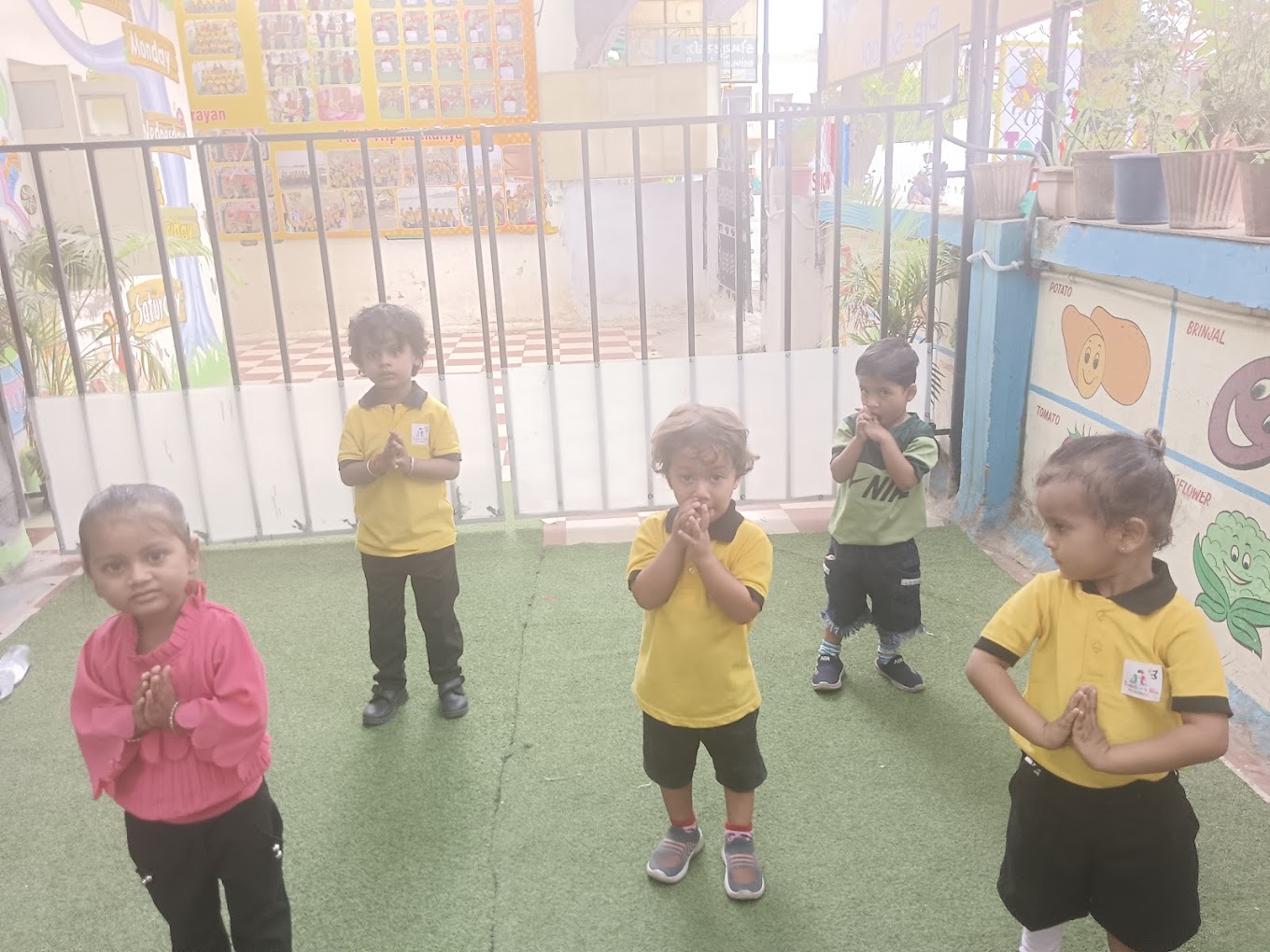Toddler's Hive Preschool - Isanpur, Ahmedabad