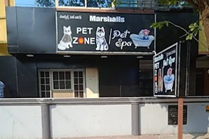 Marshalls Pet Zone & Pet Spa - Dwaraka Nagar, Kakinada