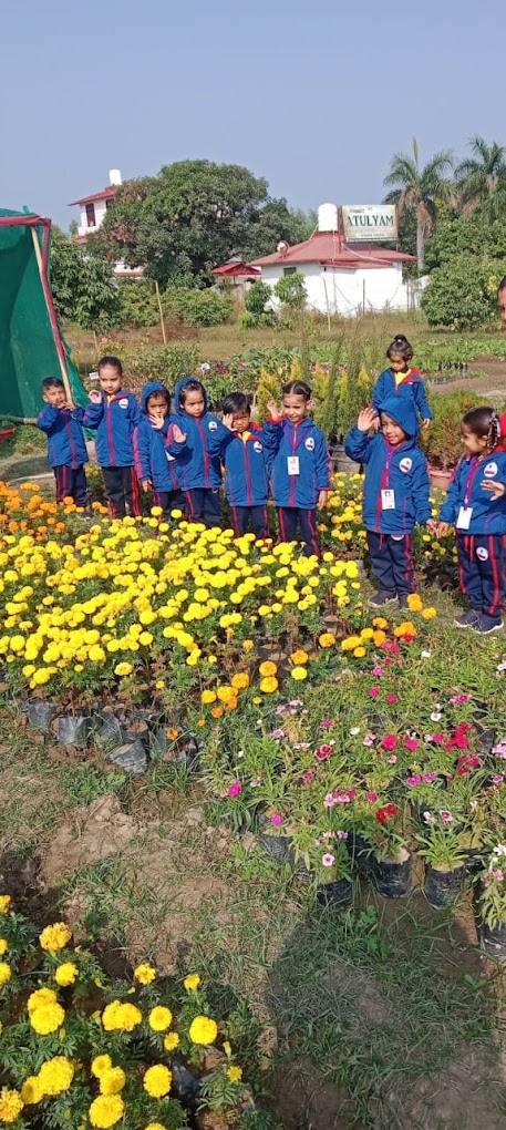 Kidzee Preschool - Peerumadara, Nainital